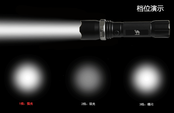 黑鹰T10电棍 | 高压电击器 | 防身手电筒 | 电池可拆卸 | 强大电压威力 黑鹰T10电棍电棒,电击器,大功率电棍,高压电击器,防身手电筒,电池可拆卸,充电电击器